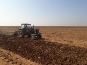 زراعة المحاصيل بالقمح في ريف عامودا الجنوبي للعام الحالي... الصورة بعدسة يكيتي ميديا